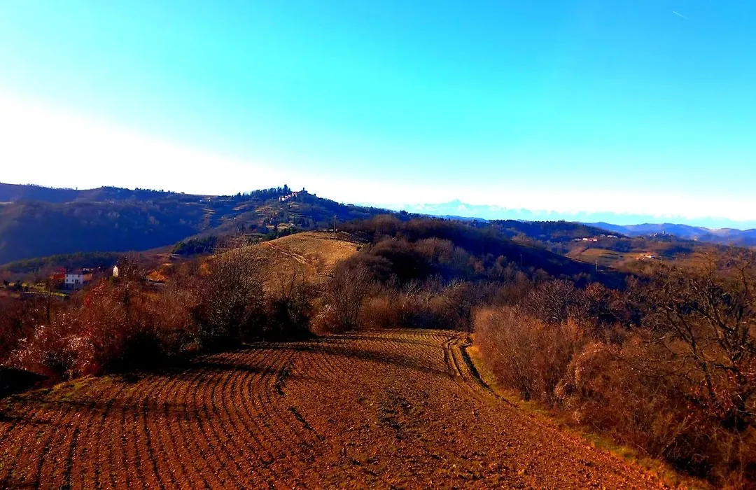 Agriturismo Borghetto la radice-1